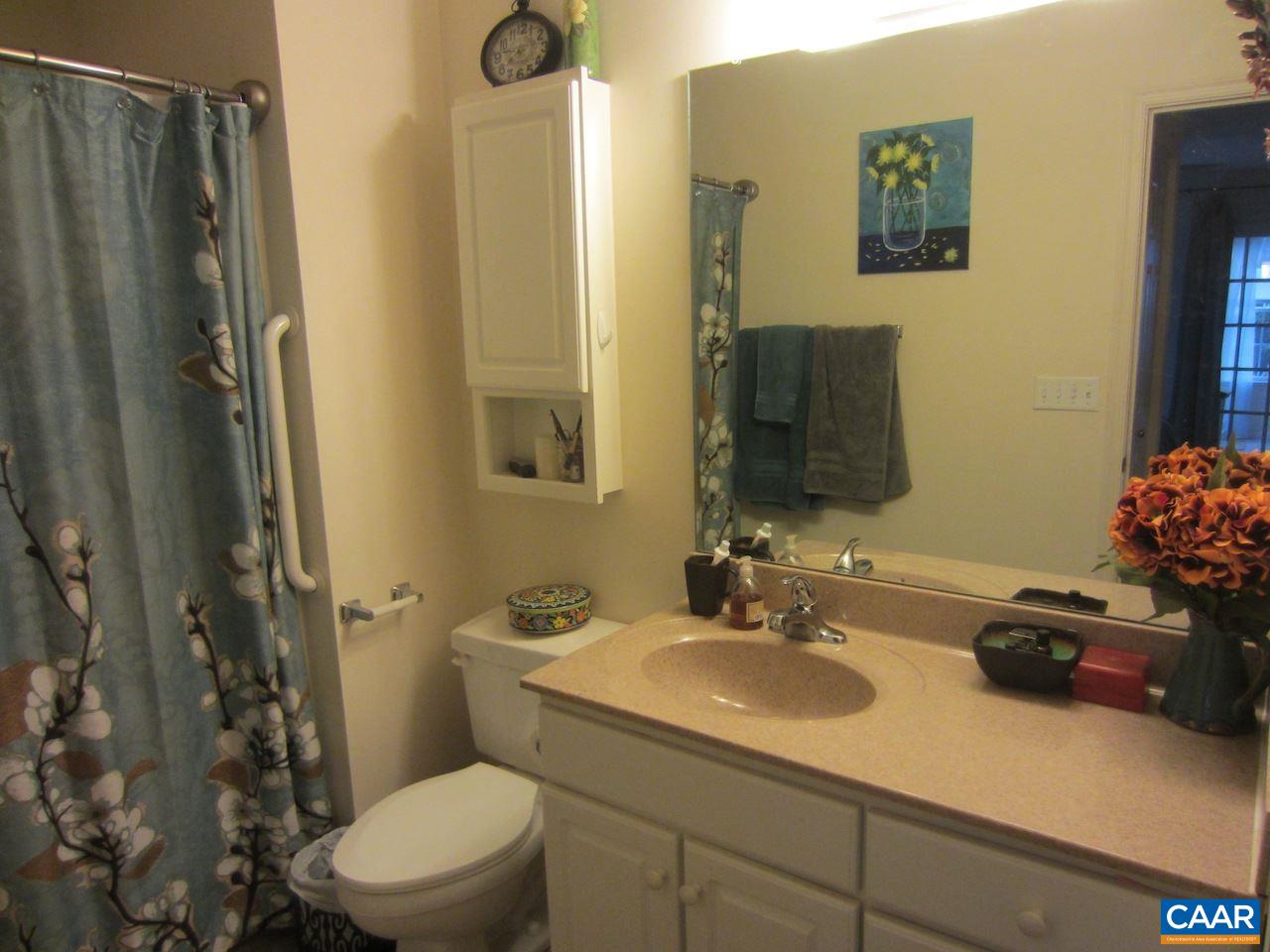 1420 Lilac Court Charlottesville, VA 22901 - Photo 8 of 15 a bathroom with a sink toilet and shower