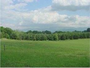 1300 Ripley Island Road Afton, TN 37616 - Photo 5 of 8 Photo 5