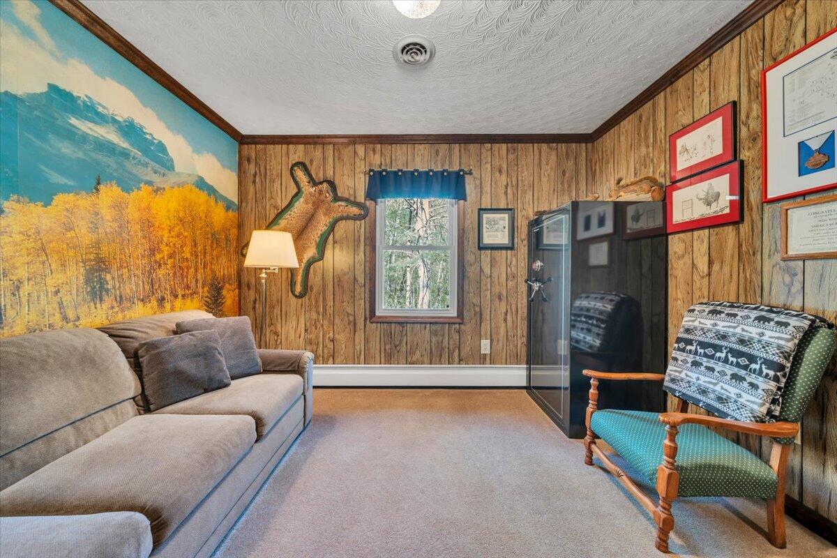 3878 Harborwood Road Salem, VA 24153 - Photo 37 of 60 a living room with furniture and a window