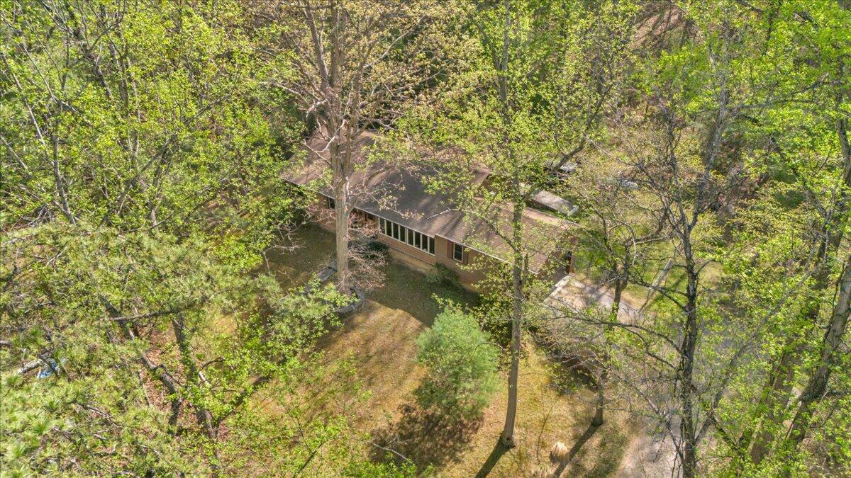 3878 Harborwood Road Salem, VA 24153 - Photo 53 of 60 a picture of a tree