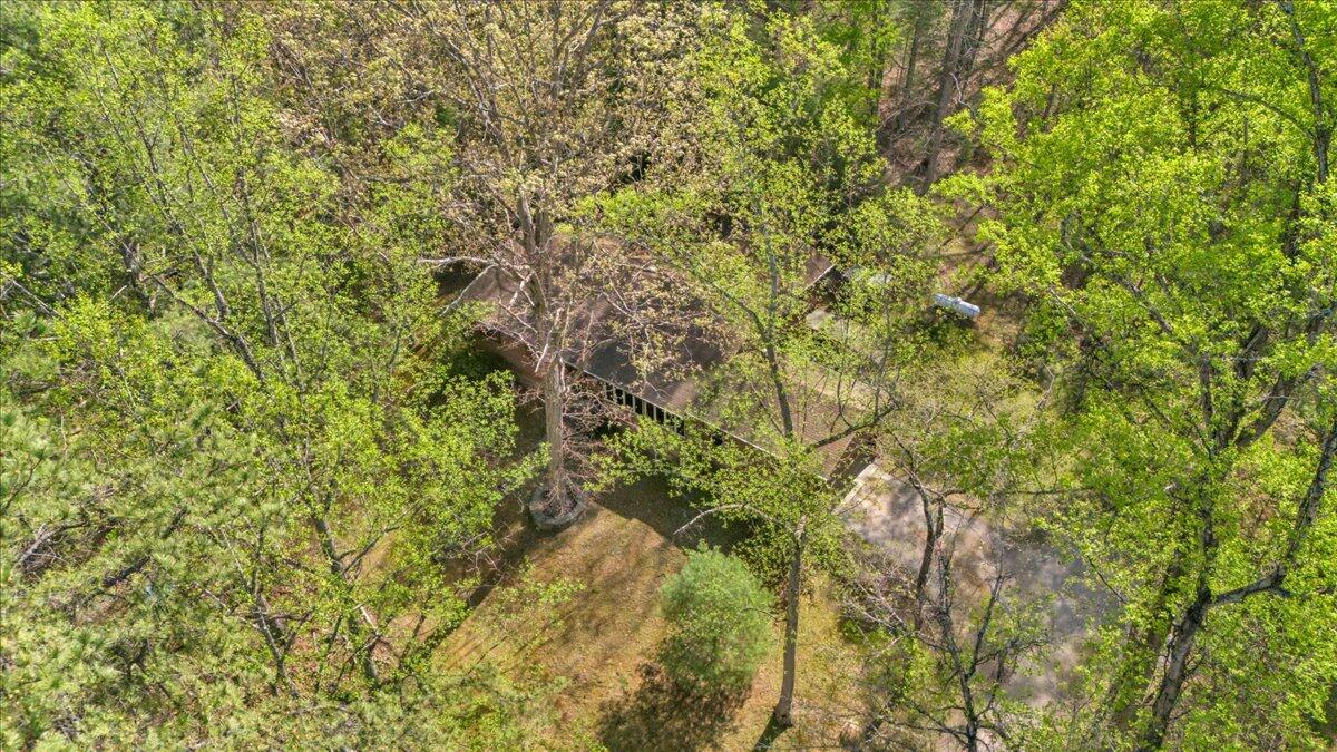 3878 Harborwood Road Salem, VA 24153 - Photo 54 of 60 a view of a tree