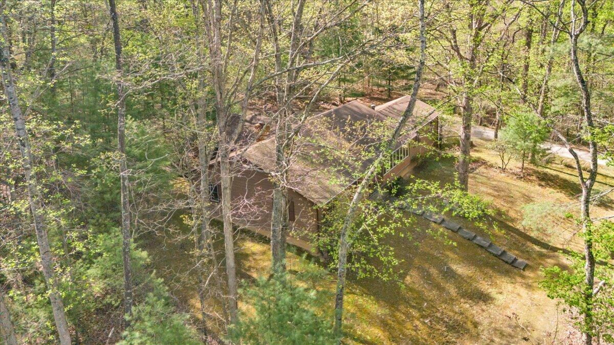 3878 Harborwood Road Salem, VA 24153 - Photo 59 of 60 a picture of a tree