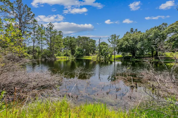 a view of a lake with houses in the back