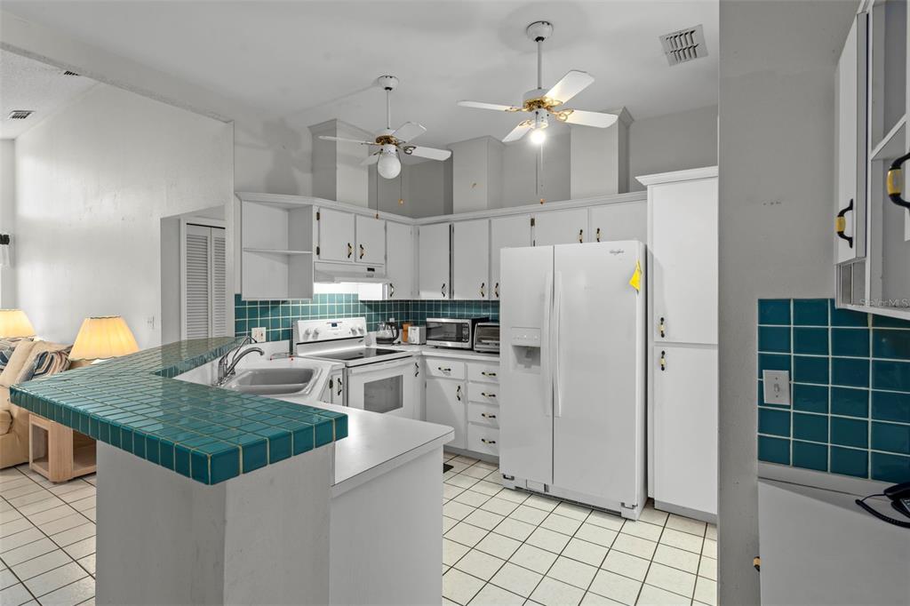 1241 Persian Avenue Spring Hill, FL 34608 - Photo 18 of 43