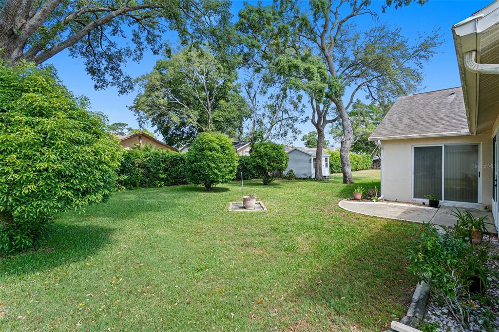 1241 Persian Avenue Spring Hill, FL 34608 - Photo 39 of 43