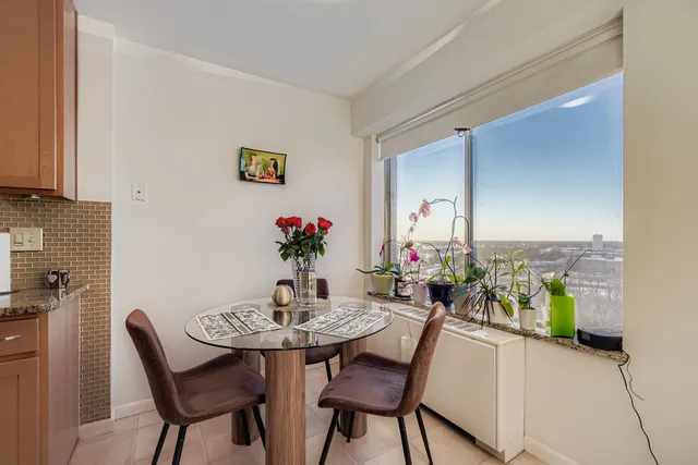 a view of a dining room with furniture and a potted plant