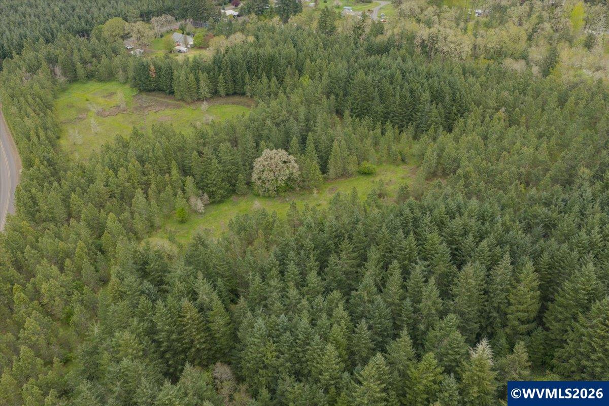 26825 Old Holley Road Sweet Home, OR 97386 - Photo 45 of 48