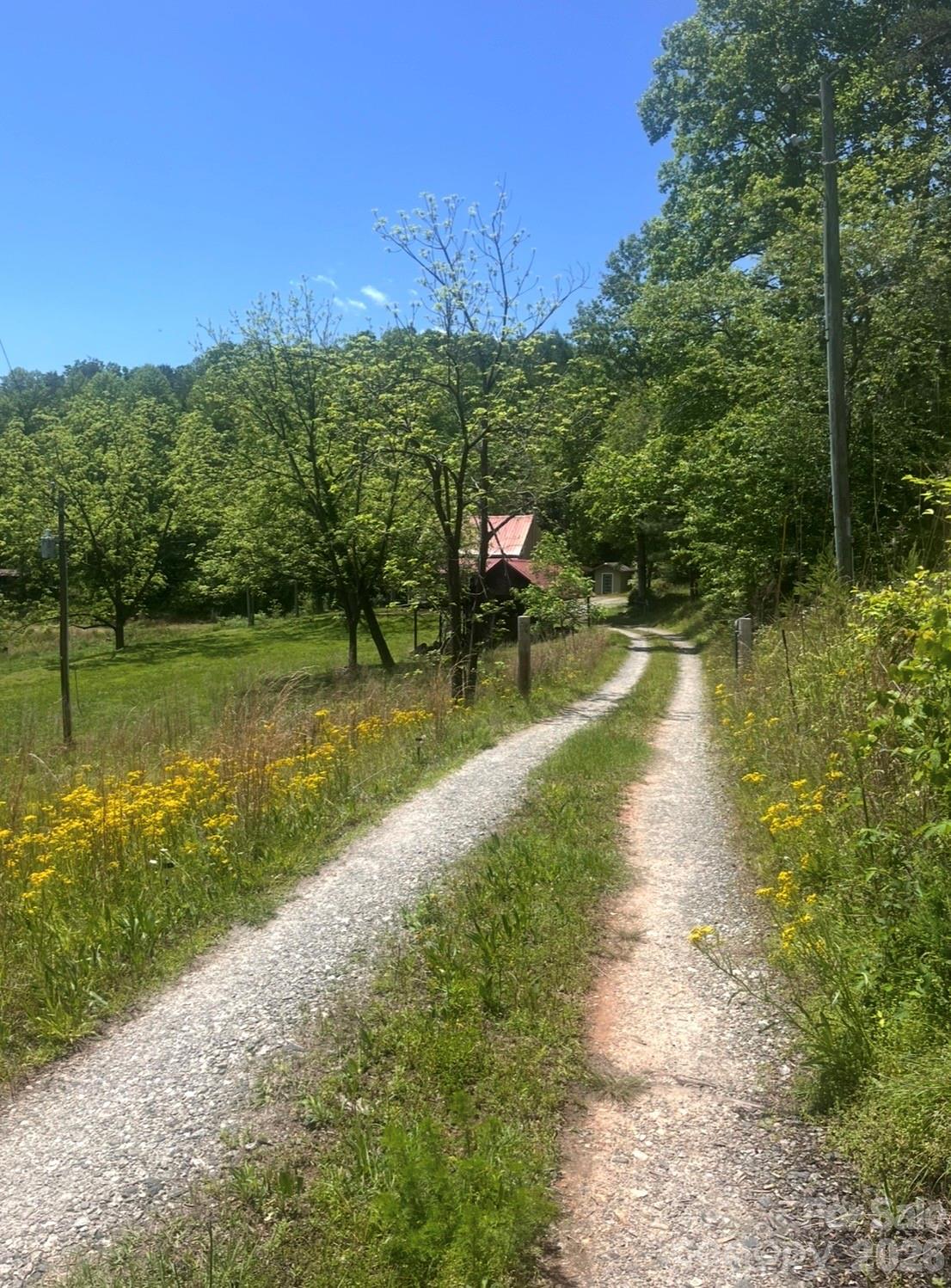 1239 Mcguinn Road Mill Spring, NC 28756 - Photo 31 of 33