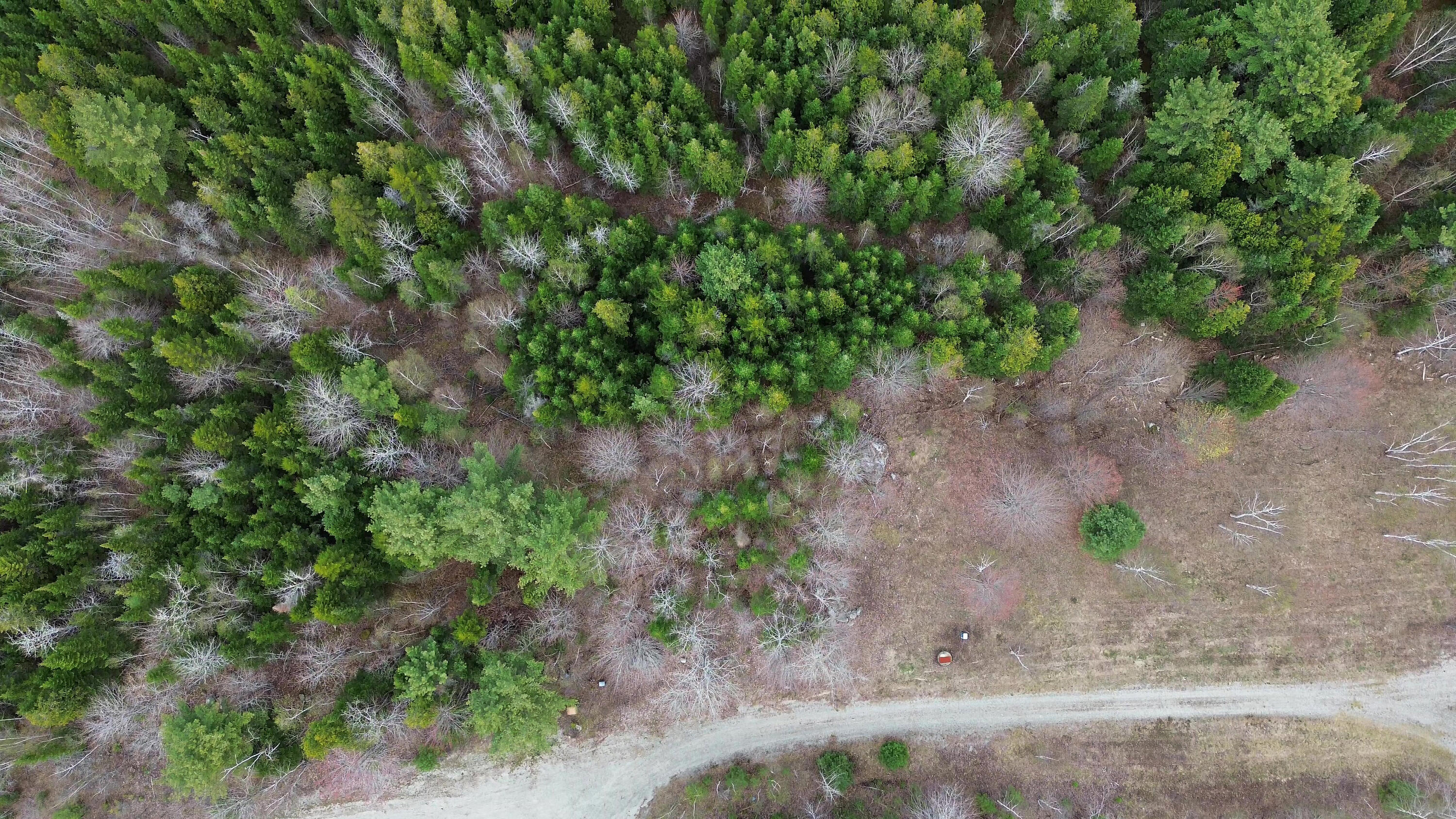 Lot 19 Bailey Mountain Road Franklin, ME 04634 - Photo 3 of 14 LOT19