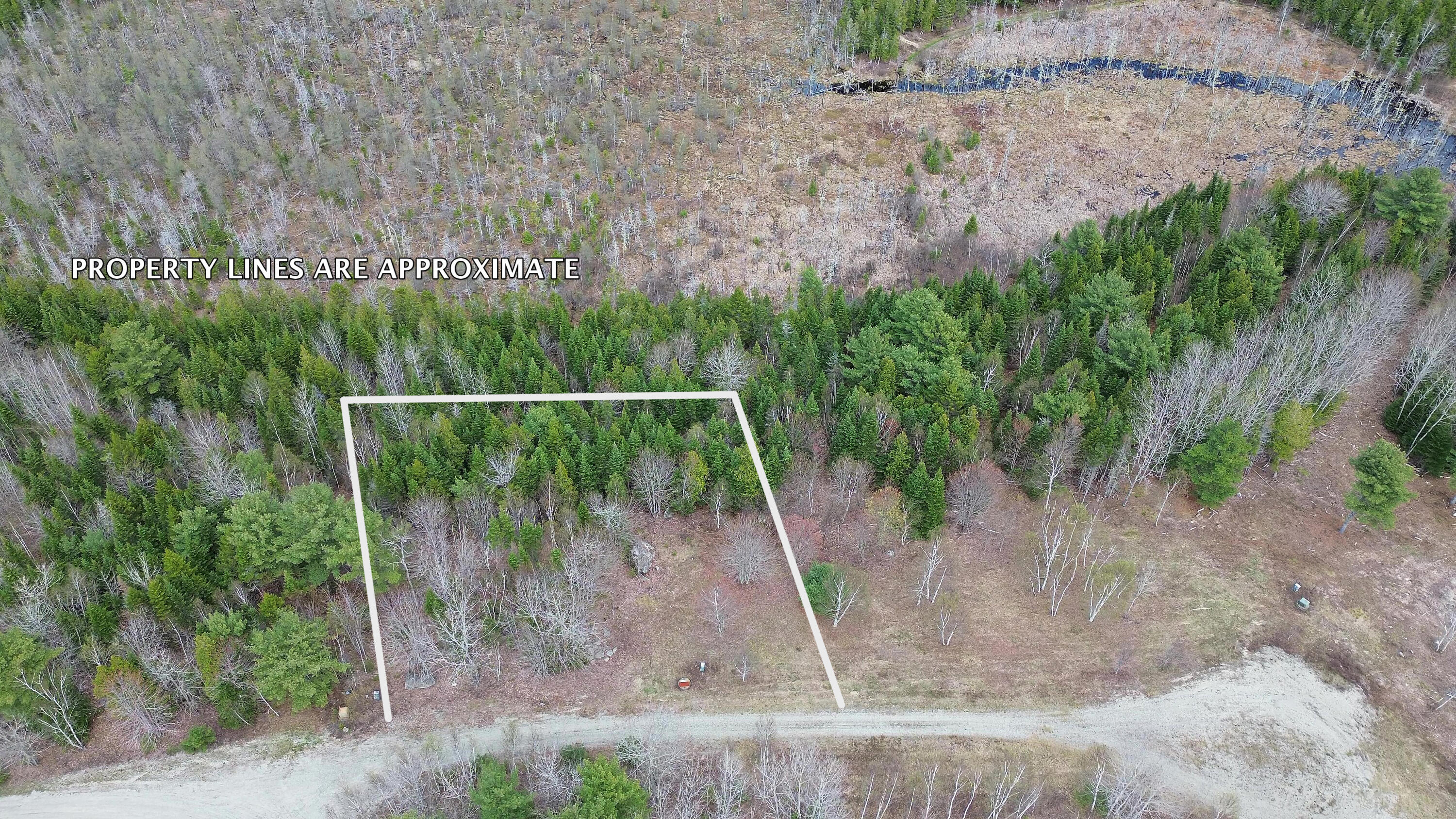 Lot 19 Bailey Mountain Road Franklin, ME 04634 - Photo 4 of 14 Approx outline