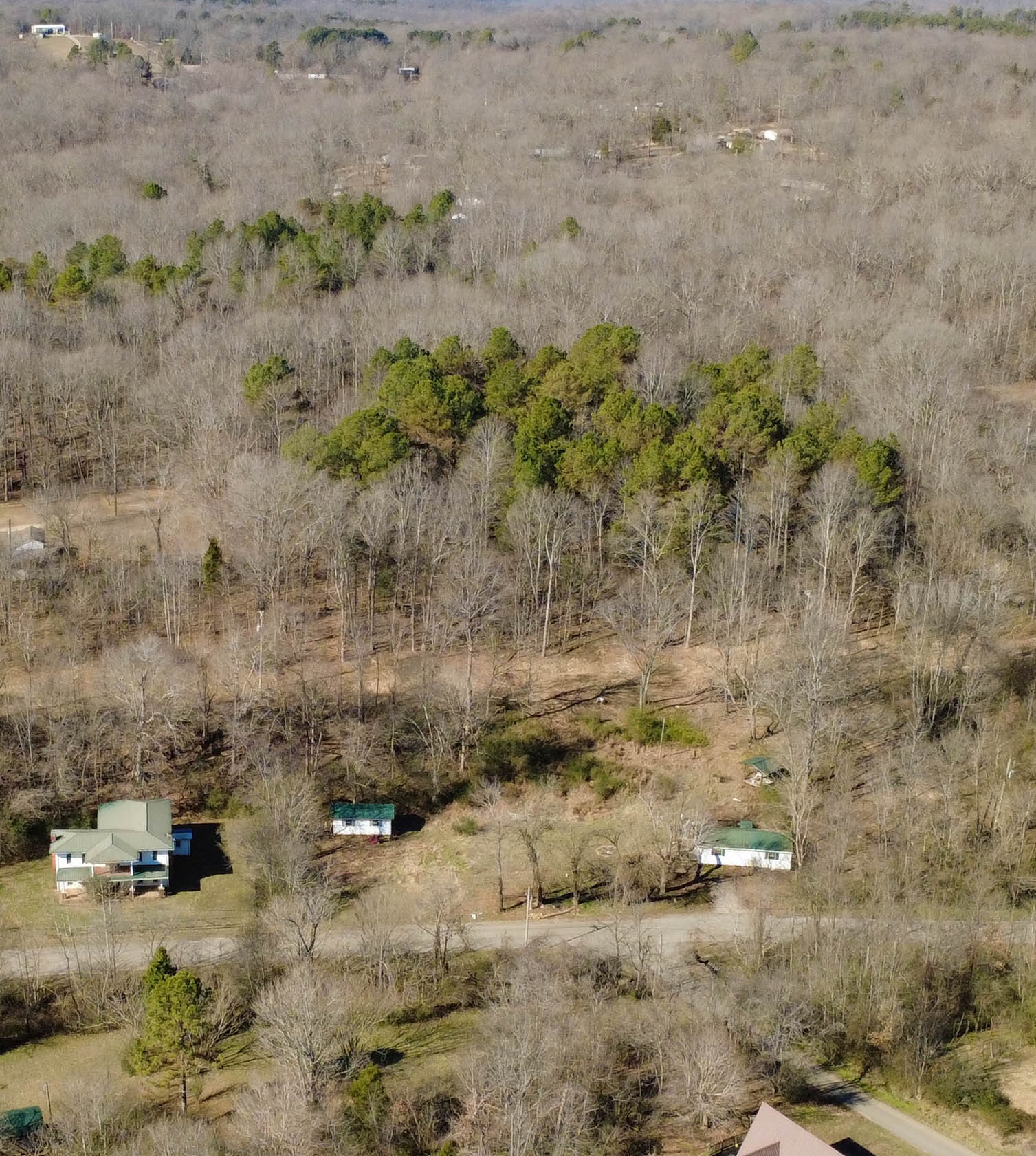 531 Big Rock Road Big Rock, TN 37023 - Photo 13 of 42