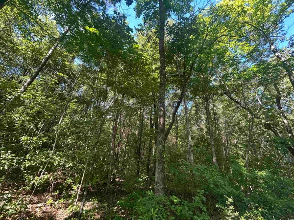 $150,000 | Tbd Thurgood Drive, Dillon, SC 29536