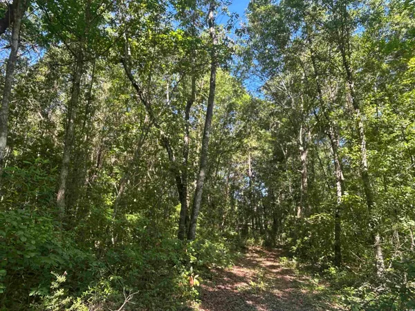 $150,000 | Tbd Thurgood Drive, Dillon, SC 29536