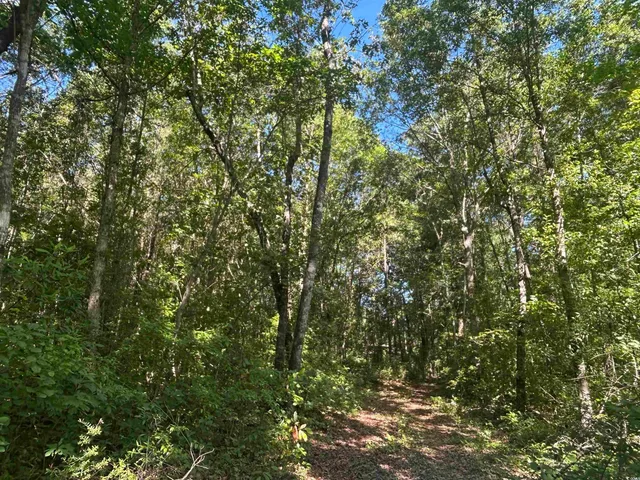 $177,500 | Tbd Thurgood Drive, Dillon, SC 29536