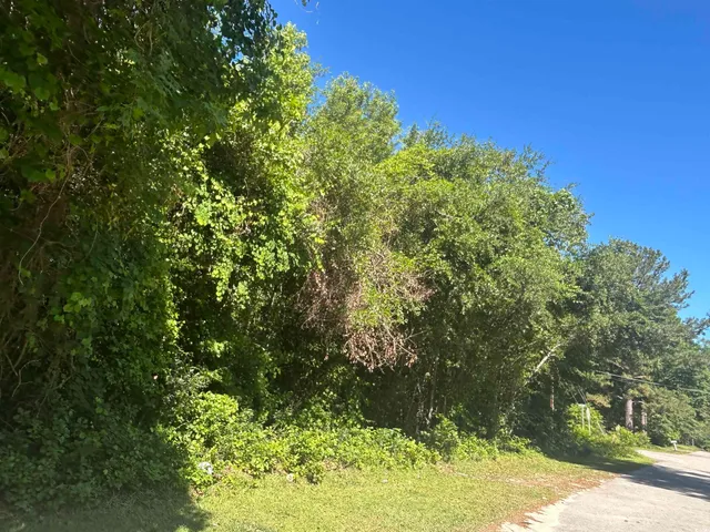 $177,500 | Tbd Thurgood Drive, Dillon, SC 29536