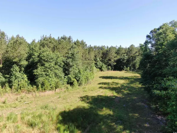 $150,000 | Tbd Thurgood Drive, Dillon, SC 29536