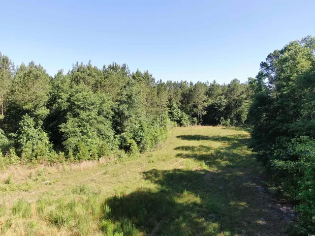 $177,500 | Tbd Thurgood Drive, Dillon, SC 29536