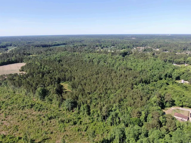 $177,500 | Tbd Thurgood Drive, Dillon, SC 29536