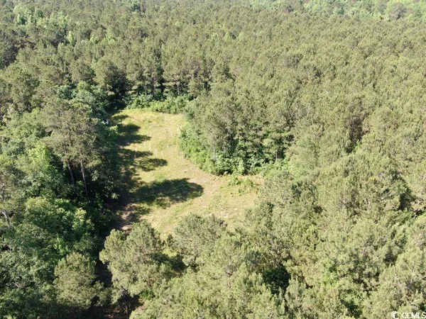 $150,000 | Tbd Thurgood Drive, Dillon, SC 29536