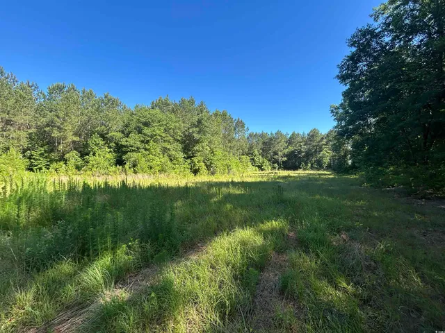 $177,500 | Tbd Thurgood Drive, Dillon, SC 29536