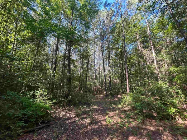 $150,000 | Tbd Thurgood Drive, Dillon, SC 29536