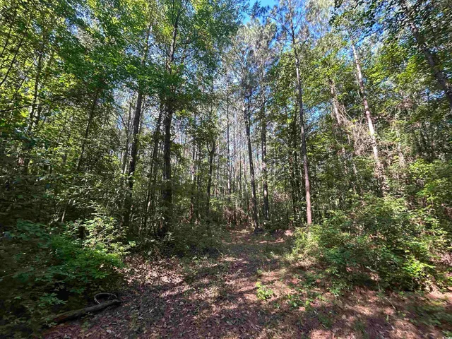 $177,500 | Tbd Thurgood Drive, Dillon, SC 29536