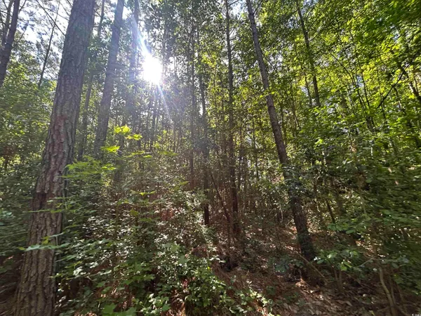 $150,000 | Tbd Thurgood Drive, Dillon, SC 29536