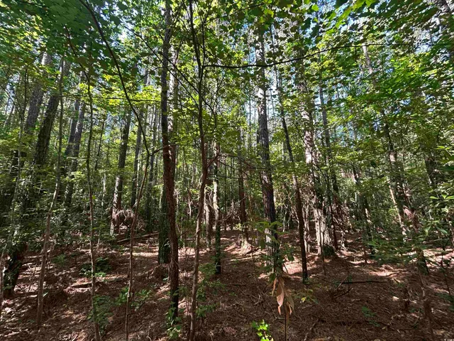 $177,500 | Tbd Thurgood Drive, Dillon, SC 29536