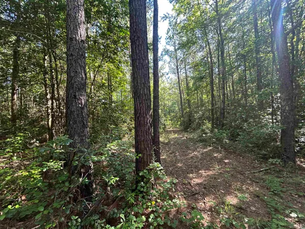 $150,000 | Tbd Thurgood Drive, Dillon, SC 29536