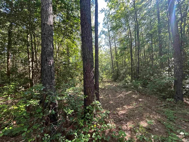 $177,500 | Tbd Thurgood Drive, Dillon, SC 29536