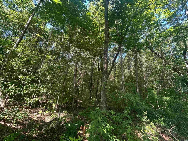 $177,500 | Tbd Thurgood Drive, Dillon, SC 29536