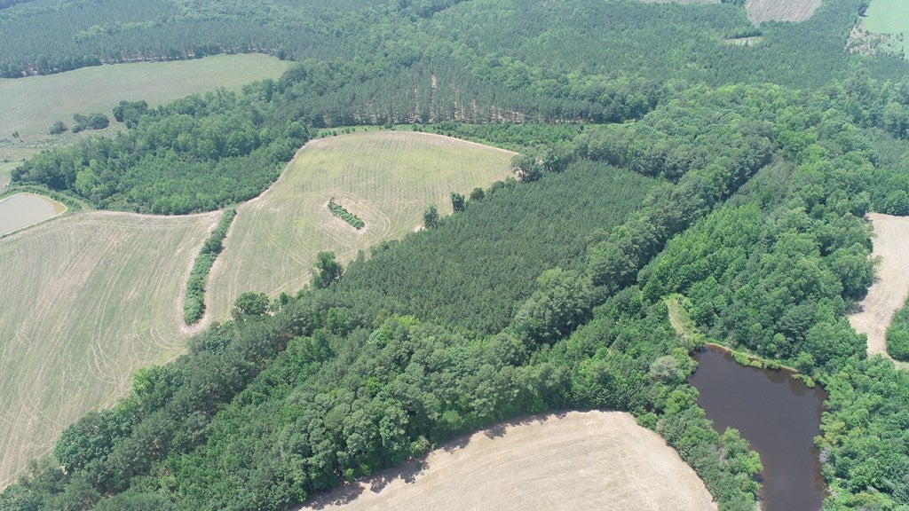 Reedy Branch Road Kenbridge, VA 23944 - Photo 6 of 19 Gallery Image 6