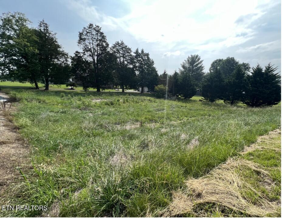 Tazewell Pike Corryton, TN 37721 - Photo 2 of 10 Lot