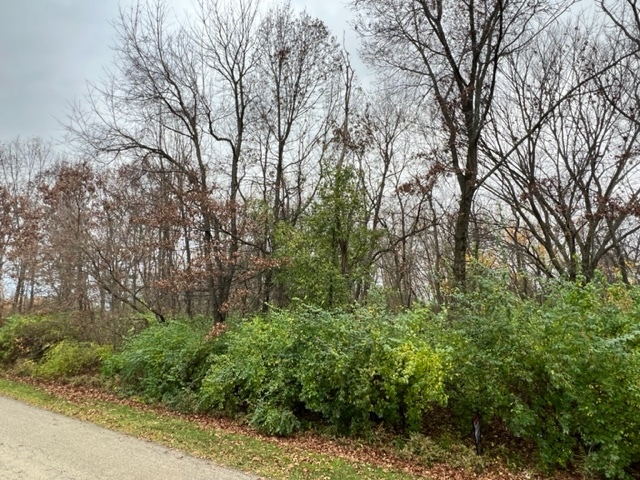 17211 Cobblestone Bend Marengo, IL 60152 - Photo 12 of 14 a view of a forest with lots of trees