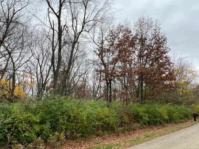 17211 Cobblestone Bend Marengo, IL 60152 - Photo 13 of 14 a view of a forest with lots of trees