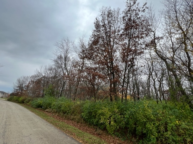 17211 Cobblestone Bend Marengo, IL 60152 - Photo 2 of 14 a view of a forest with trees in front of it