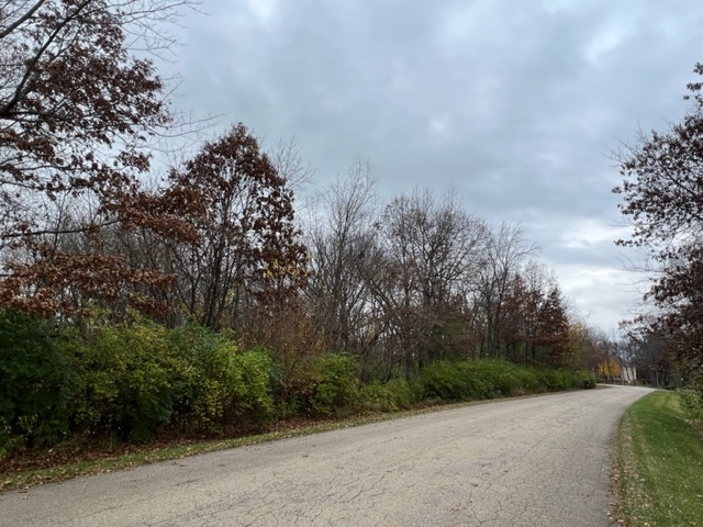 17211 Cobblestone Bend Marengo, IL 60152 - Photo 3 of 14 a view of a field with trees in the background