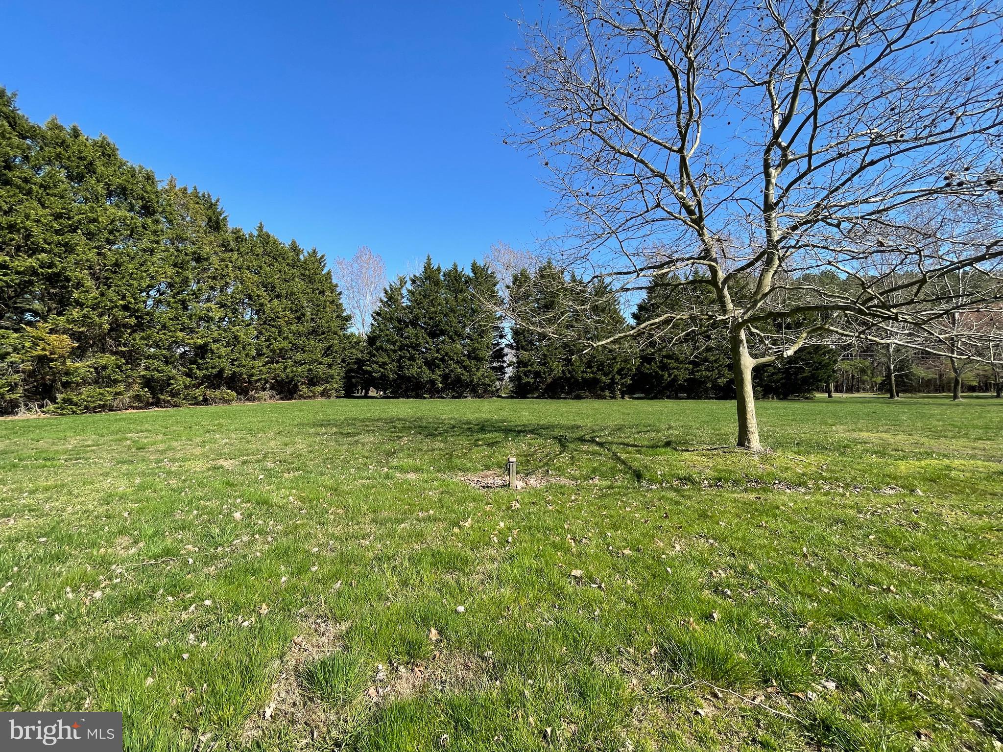 103 Old Point Road Chester, MD 21619 - Photo 28 of 68 Side Yard