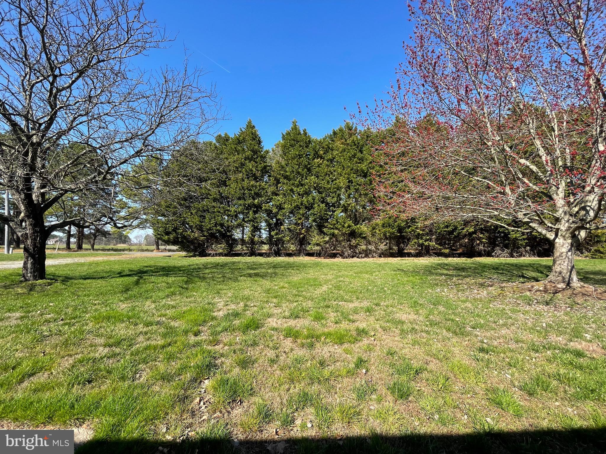 103 Old Point Road Chester, MD 21619 - Photo 29 of 68 Front Yard