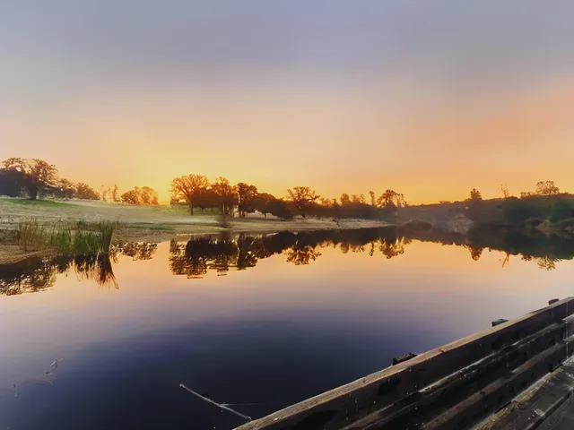 a view of a dining room with furniture wooden floor and chandelier