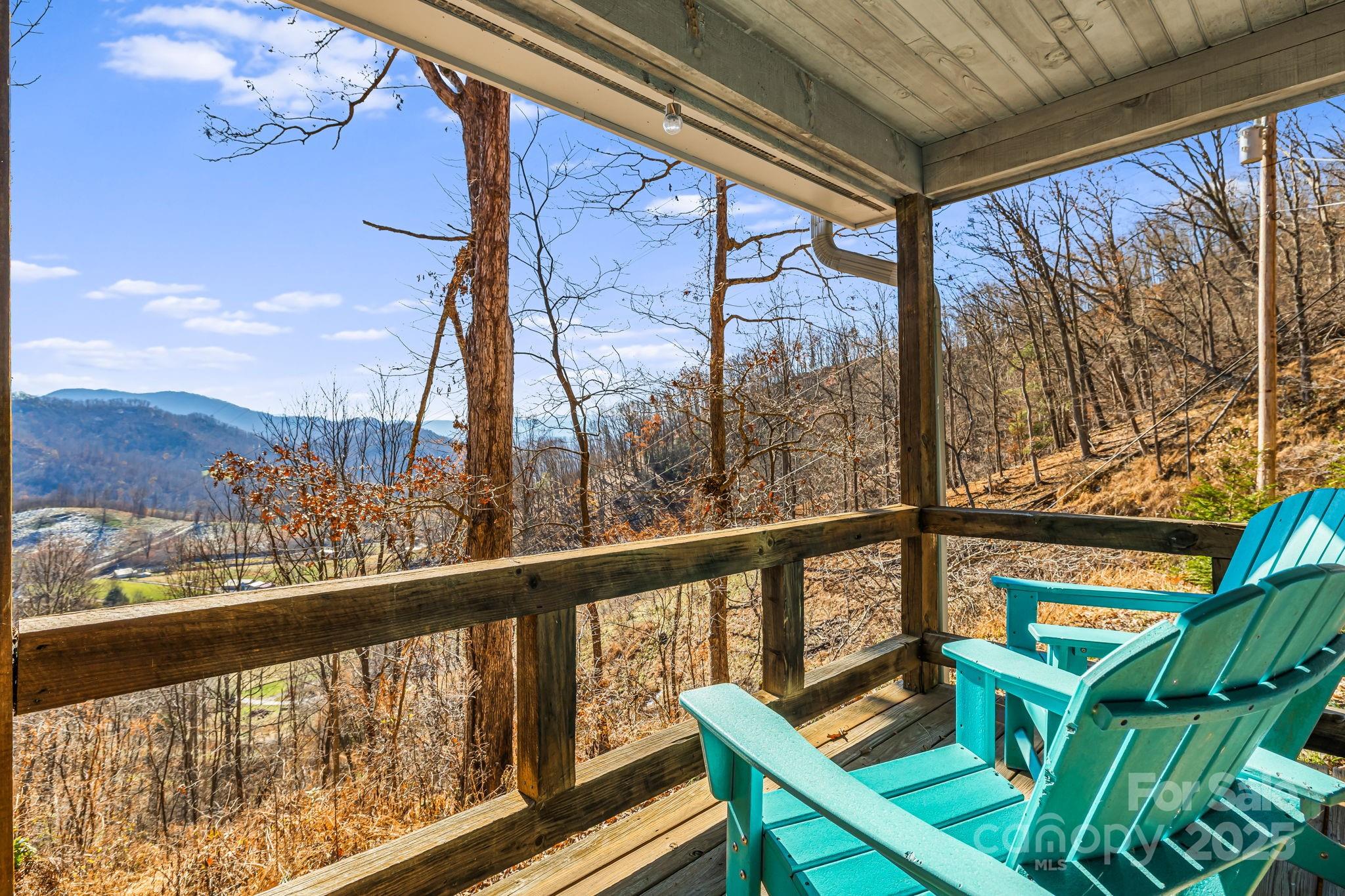 550 Cale Way Clyde, NC 28721 - Photo 4 of 48