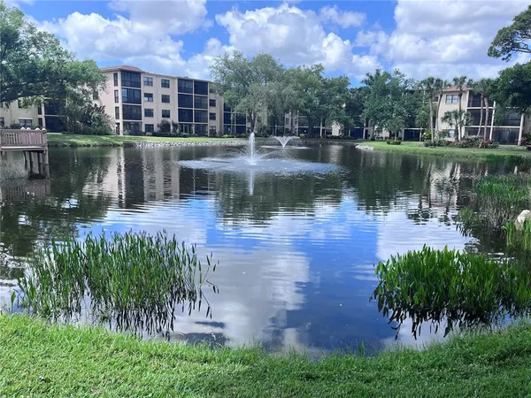 a view of a water pond with green yard