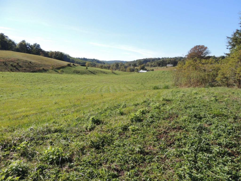 1-3 Teague Road, Unit 13 Chuckey, TN 37641 - Photo 2 of 5 Photo 2
