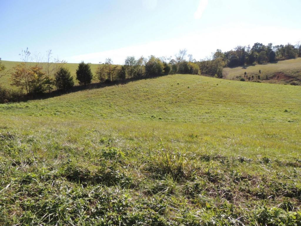 1-3 Teague Road, Unit 13 Chuckey, TN 37641 - Photo 3 of 5 Photo 3