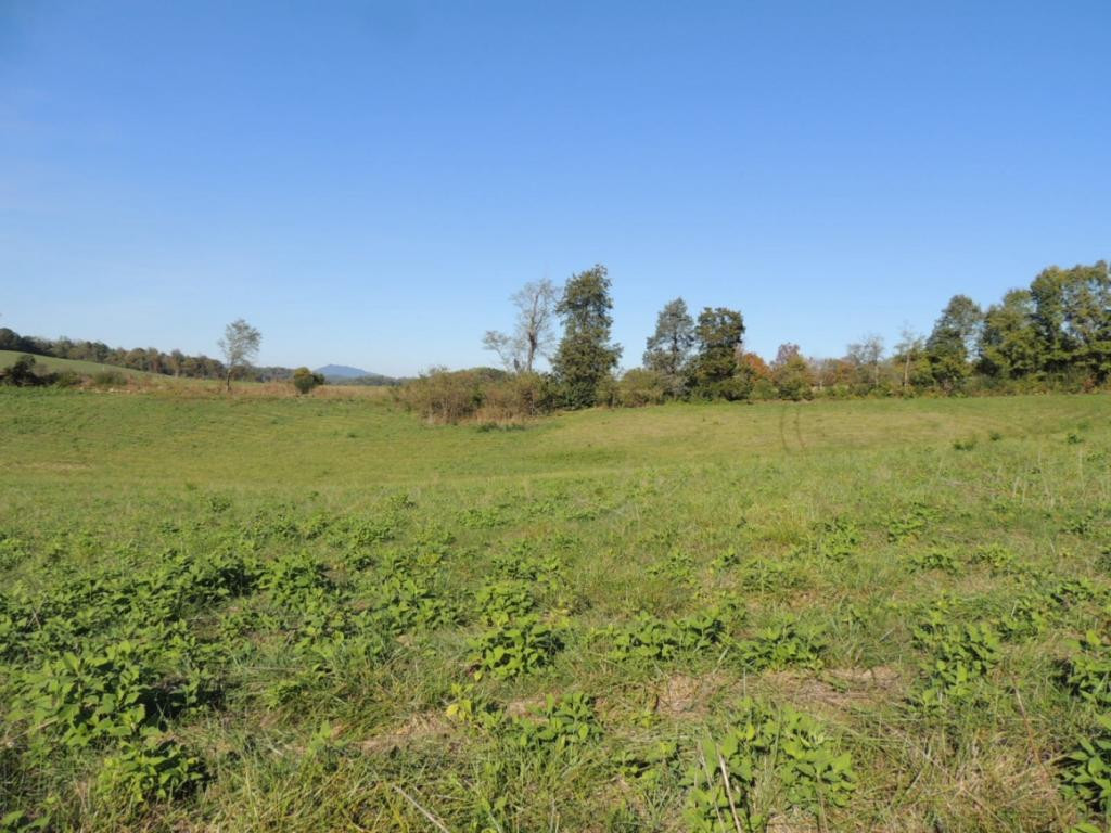 1-3 Teague Road, Unit 13 Chuckey, TN 37641 - Photo 4 of 5 Photo 4