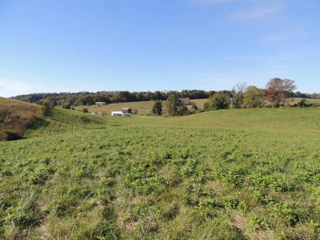 1-3 Teague Road, Unit 13 Chuckey, TN 37641 - Photo 5 of 5 Photo 5