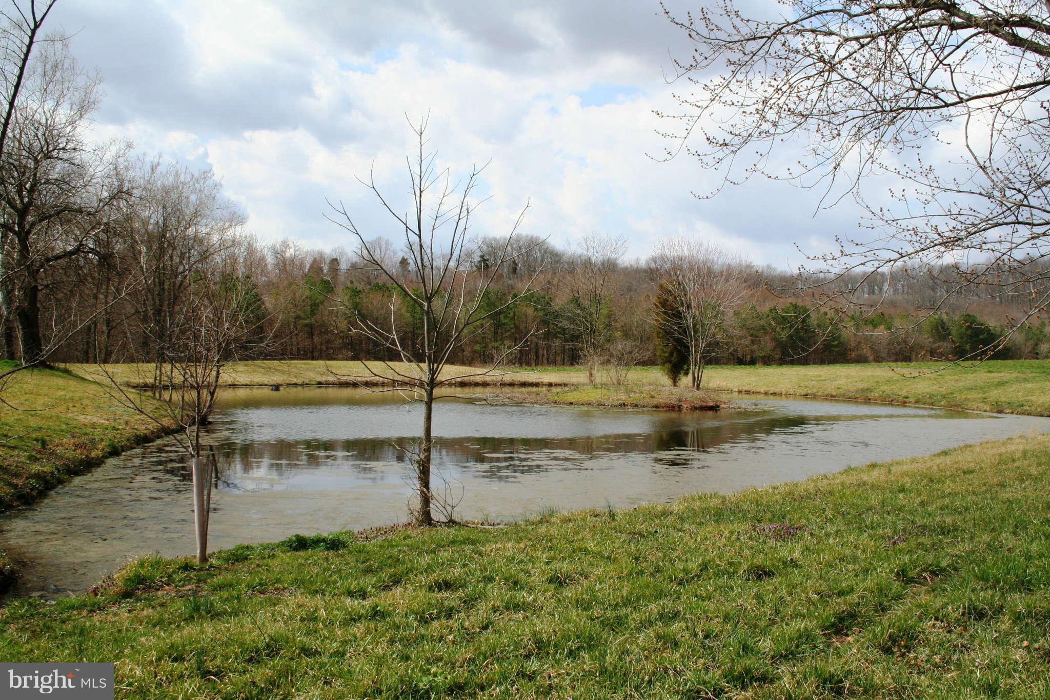 10807 Haughs Church Road Keymar, MD 21757 - Photo 16 of 17 a view of a park