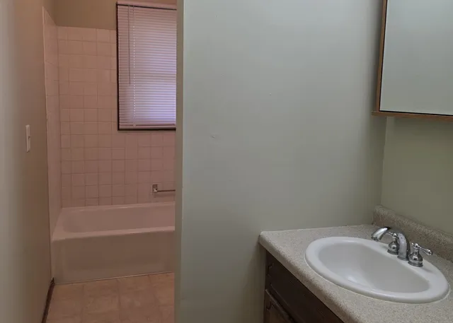 a bathroom with a sink toilet and vanity