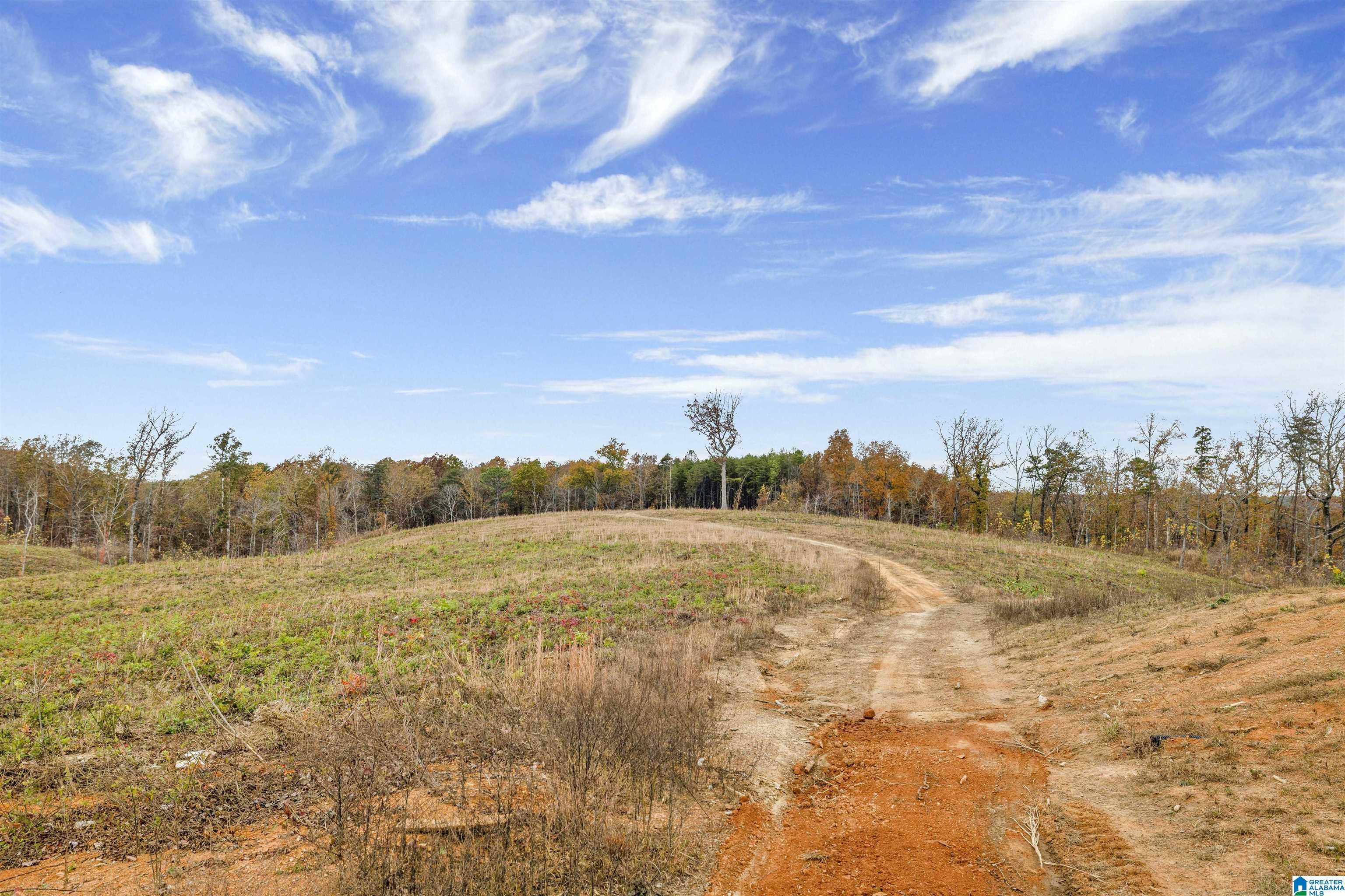 6060 Huckleberry Lane Morris, AL 35116 - Photo 31 of 35