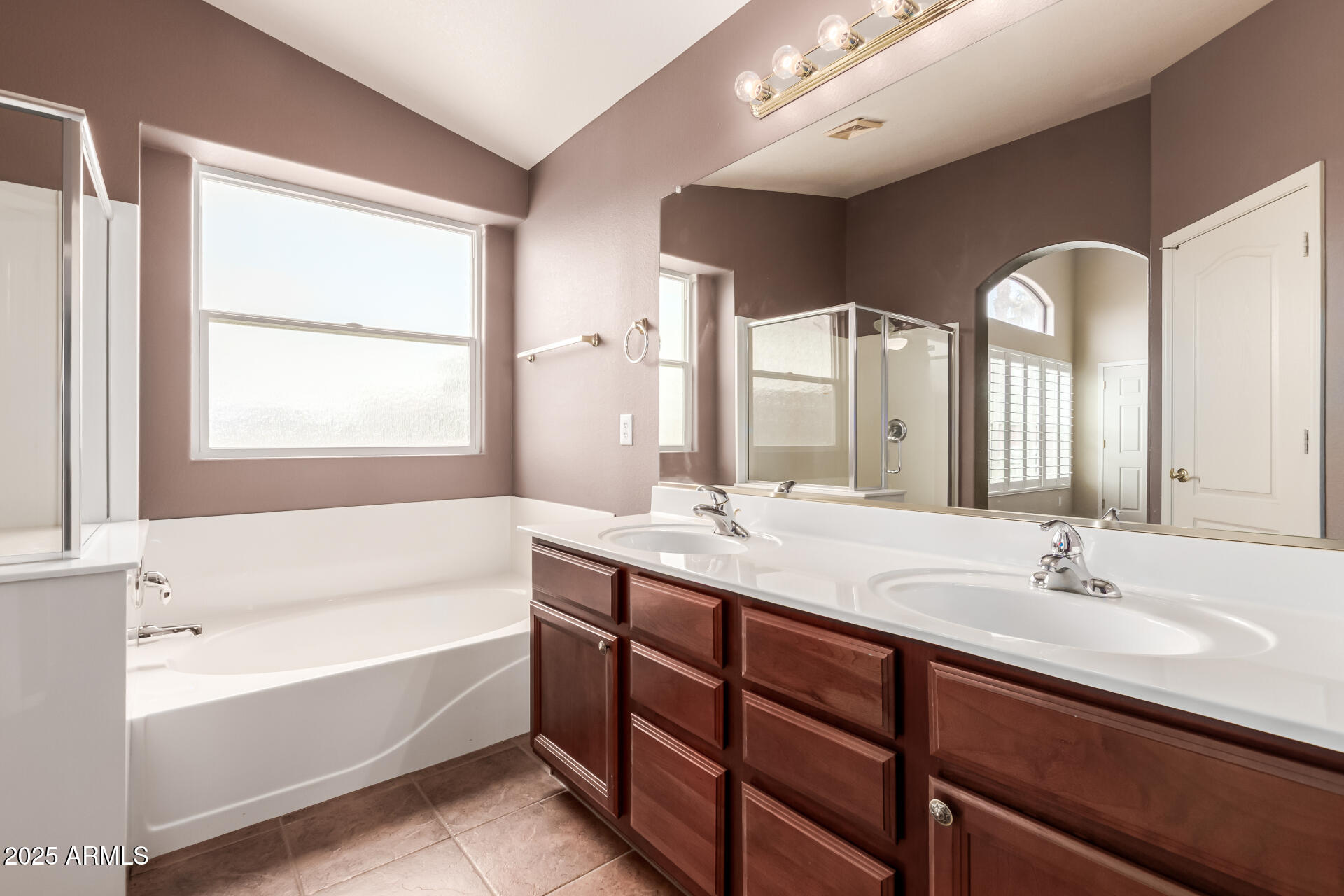 21651 North Van Loo Drive Maricopa, AZ 85138 - Photo 23 of 45 Main Bathroom